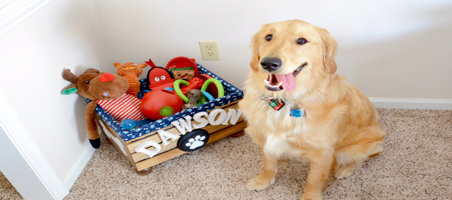 How to Make Homemade Dog Toys from Everyday Items